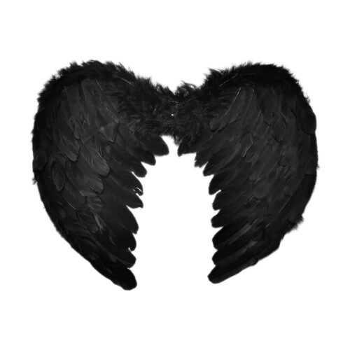 De Pluma De Para E Halloween, Adereço De Palco 2