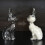 Moderne Tierhaar-Erinnerungsglasdose, 6 x 19 cm, durchsichtige 5