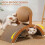 Jouet à gratter divertissant pour chats avec roue rotative 4