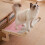 Human Bed Mounted Cat Perch Cute Soft Cat-dusty pink Upgrade A 5