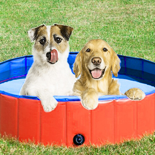 Ανθεκτική πισίνα από PVC, φορητή μπανιέρα για κατοικίδια για τους τετράποδους 1
