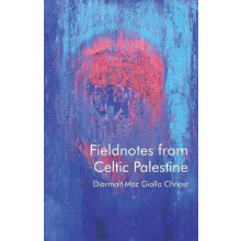 Fieldnotes from Celtic Palestine by Diarmait Mac Giolla Chriost Paperb