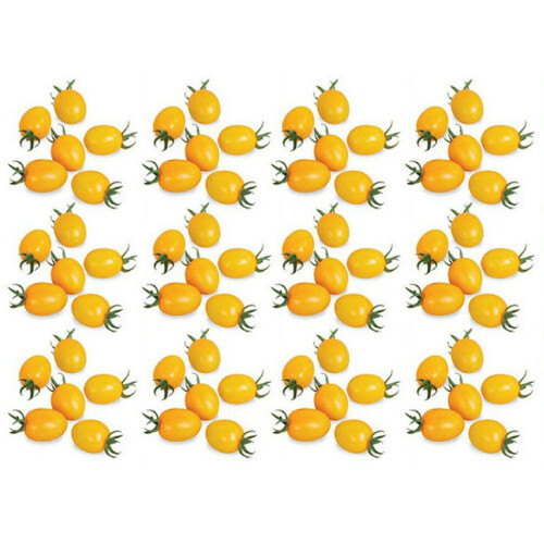 100 tomatenzaden voor de moestuin, 15x6x1 cm, 20 g 1