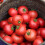 100 tomatenzaden voor de moestuin, 15x6x1 cm, 20 g 4