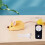 Katten Fun Teaser Afstandsbediening Muis-Grote chenroid 5