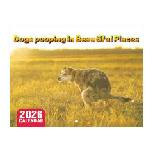 (dog a) 2026 Wall Calendar 12-Month Calendar Funny Animal Hanging Calendar for Office School Home Gag Gifts-dog a