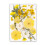 1pc Dried Flower Craft Pack Versatile DIY Decors Accent For-C 1