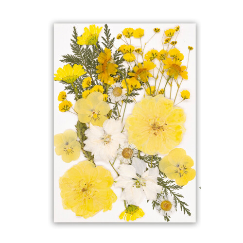 1pc Dried Flower Craft Pack Versatile DIY Decors Accent For-C