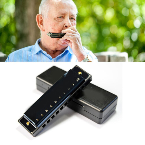 Bright Black 10 Hole Mouth Organ Light Weight Practical Full Scale Harmonica for Performance 2