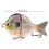 Gelenkiger Köderfisch 9 cm 34,5 g Sinkender Sonnenbarsch-Swimbait Crankbait 2