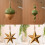 User Friendly Wood Star Shape Christmas Hanging-Polygonal Star 4
