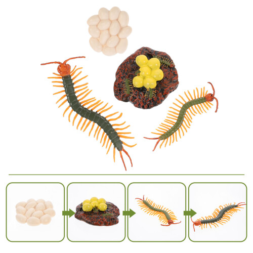 1 Set Sprinkhaan Levenscyclus Figuur Educatief Speelgoed 2