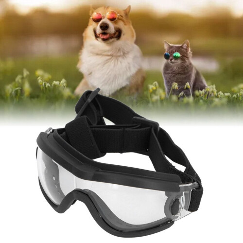Vindtäta UV-hundglasögon med transparent lins, plastmaterial