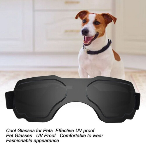 Black Dog Goggles with Adjustable Strap UV-Proof, Comfortable & Stylish 2