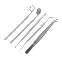 Kit de limpieza dental de acero inoxidable de 5 piezas con 2 espejos y 2 raspadores