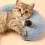 Soft Blue U-Shaped Pet Pillow for Comfort and Cervical Support 3