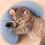 Soft Blue U-Shaped Pet Pillow for Comfort and Cervical Support 4