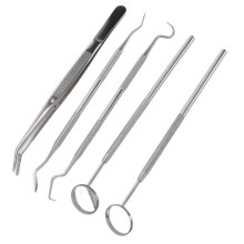Kit de 5 herramientas de acero inoxidable para el cuidado bucal, eliminador de sarro dental