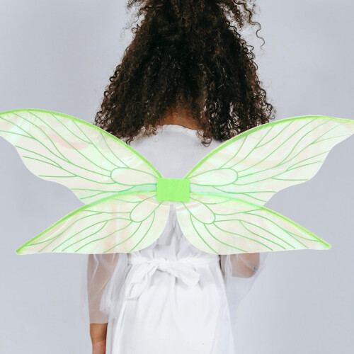 Masquerade Party Fee Met Vleugels Vrouwen En 2