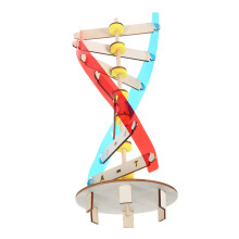 1 Set Diy Dna Doppelhelix Menschliche Spielzeug Kinder Lernspielzeug
