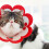 Cute Felt Cat Cone Collar, Soft & Adjustable, Bite & Lick Prevention 3