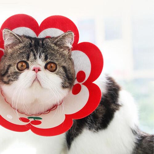 Cute Felt Cat Cone Collar, Soft & Adjustable, Bite & Lick Prevention 2