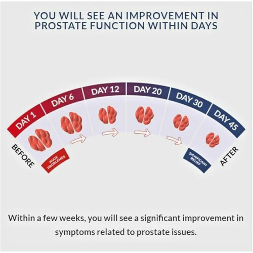 Prostaphytol 30 Capsules Prostate Health Support 1