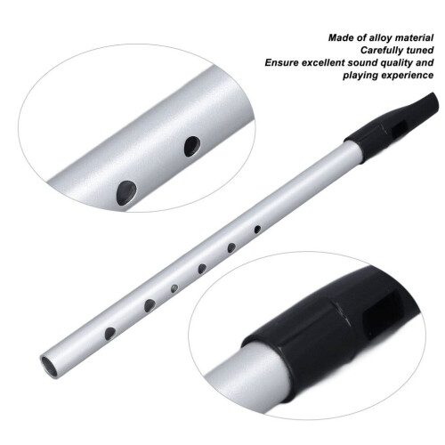 Professional Alloy Short Flute with Learning Manual, Silver D Tune 2