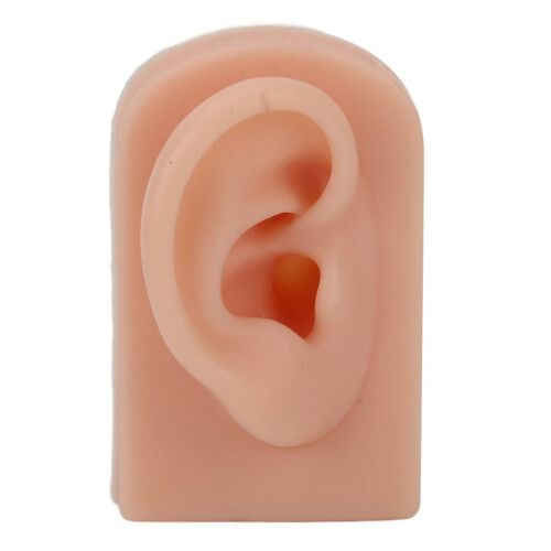 Silicone Right Ear Model for Piercing Practice & Earring Display – Dark, 8x5x3.7cm 1
