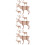 9 Unidades Kit 3D Madera Educativo Diy 10