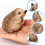 3Stk Simulation Dornschwein Modell Kinder Lernspielzeug 9