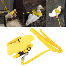 Vogelführgeschirr mit Leine für Enten, Hühner und Gänse, verstellbarer Brustumfang M