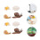 2 Sets Figurinen Lebenszyklus Schnecke Für Kinder 5