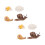 2 Sets Figurinen Lebenszyklus Schnecke Für Kinder 4