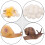2 Sets Figurinen Lebenszyklus Schnecke Für Kinder 9