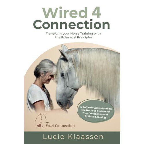Wired 4 Connection by Lucie Klaassen Paperback Book