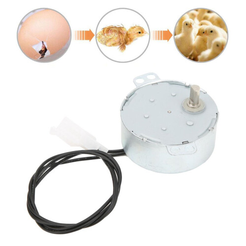 220V Dual Mode Eierkeermotor Lage Snelheid Stabiele Compact 4W Max.