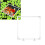 Aquariums Feeding Rings 23cm Floating Rings Precisely Holds Fish 7