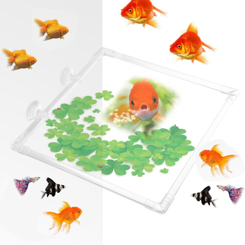 Aquariums Feeding Rings 23cm Floating Rings Precisely Holds Fish 1