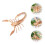 1 Stuk Insectenpuzzel Model Voor Kinderen 4