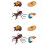 8 Pcs Simulation Insect Growth Ornaments Display Models For Kids 6
