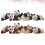 8 Pièces Panda Polyvalent Décoration Design Aléatoire 6