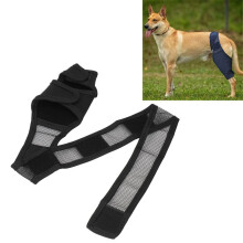 Knieorthese für Hunde bei Patellaluxation – Stützt das gerissene vordere Kreuzband und fördert die Durchblutung
