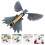 10St Wind-Up Fliegendes Gummiband-Angetriebenes Spielzeug 3
