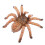 2Pcs Plastic Spider Toy Model For Halloween Decor And Trick 2