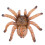 2Pcs Plastic Spider Toy Model For Halloween Decor And Trick 10