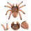 2Pcs Plastic Spider Toy Model For Halloween Decor And Trick 9