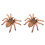 2Pcs Plastic Spider Toy Model For Halloween Decor And Trick 3
