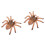 2Pcs Plastic Spider Toy Model For Halloween Decor And Trick 5