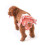 Orange Daisy S Polyester Tvättbara Hund Binärbyxor För Hemmet 4